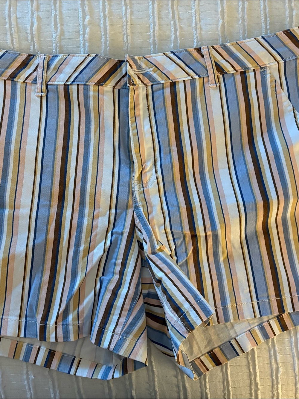 a.n.a Striped Cargo Shorts in Blue, Tan and White